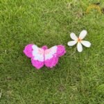 Orchid Pink