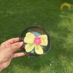 Light Yellow with Pink Flower