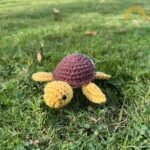 Brown & Yellow