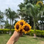 Yellow & Brown