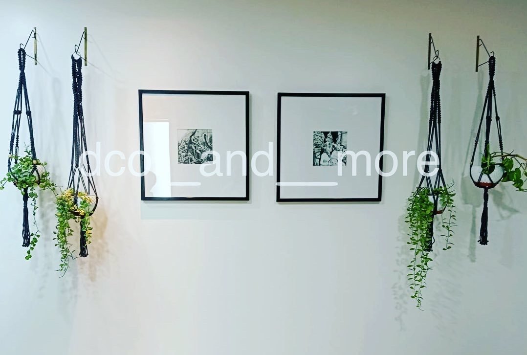 Macramé plant hangers styled on a gallery wall